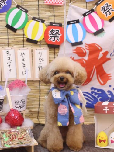 20240730ラブちゃん